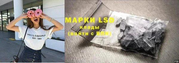 индика Красноперекопск