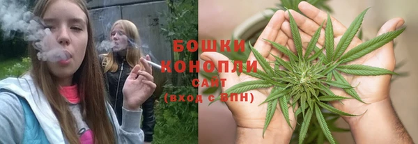 дживик Костерёво